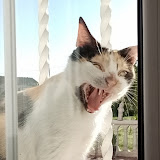 TitinGamer
